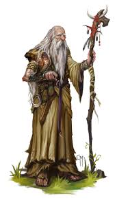 Druid