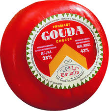 Gouda