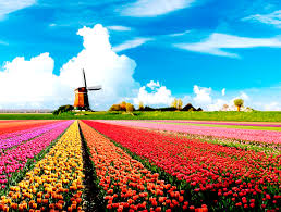 Holland