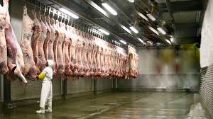 abattoir