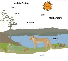 abiotic