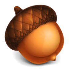 acorn