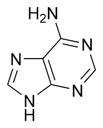 adenine