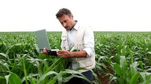 agronomist