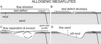 allogenic