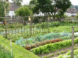 allotment