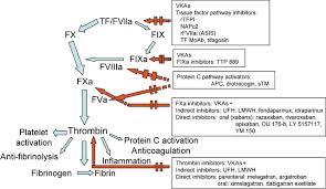 anticoagulant