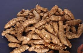 arrowroot