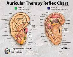 auricular