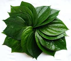 betel