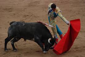 bullfight