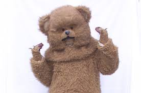 bungle