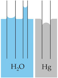 capillarity