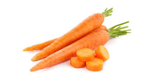 carrot