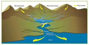 catchment