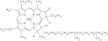 chlorophyll