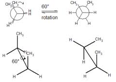 conformer