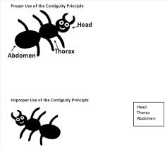 contiguity