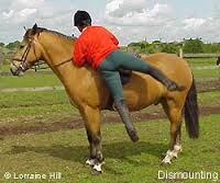 dismount