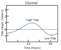 diurnal