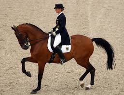 dressage