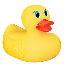 ducky