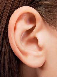 ear