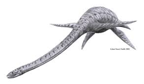 elasmosaurus