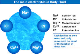 electrolyte