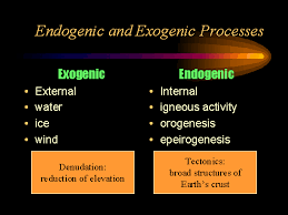 endogenic