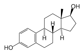 estrogen