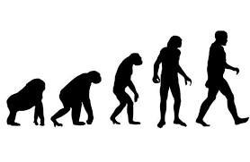 evolutionary