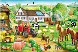 farmyard