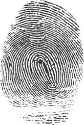 fingerprint