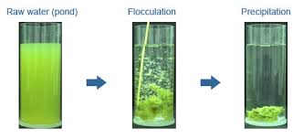 flocculate