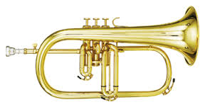 flugelhorn