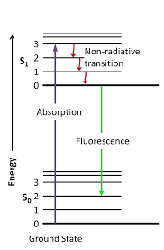 fluorescence