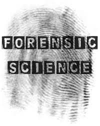 forensic