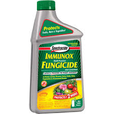 fungicide