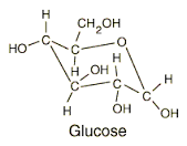 glucose