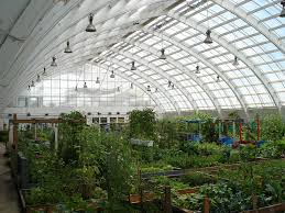 greenhouse