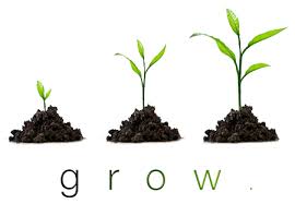 grow