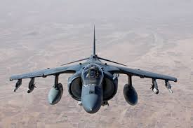 harrier