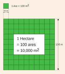 hectare