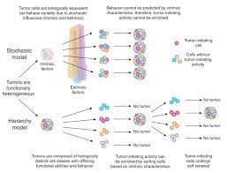 heterogeneity