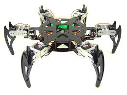 hexapod