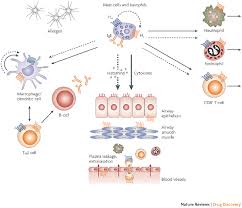 histamine