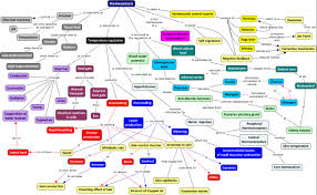 homeostasis