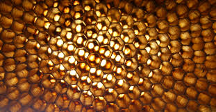 honeycomb