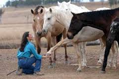 horsemanship